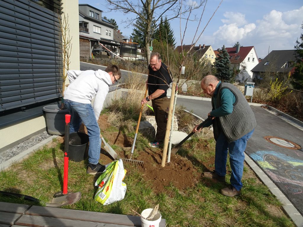 Galeriebilder