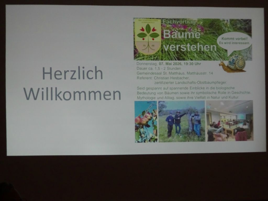Galeriebilder
